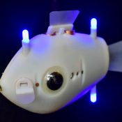 Robot Fish Illustrate ‘Collective Intelligence’ at Work in Nature