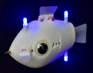 Read more about the article Robot Fish Illustrate ‘Collective Intelligence’ at Work in Nature